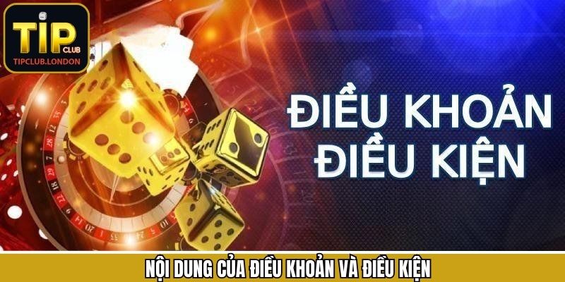 Các điều khoản và điều kiện cực kỳ then chốt tại nhà cái