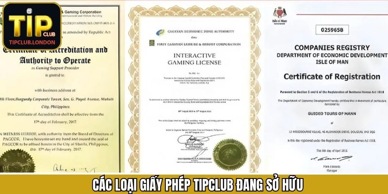 Các loại giấy phép Tipclub đang sở hữu