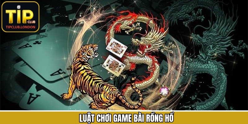 Quy định cơ bản của bộ môn rồng hổ TipClub