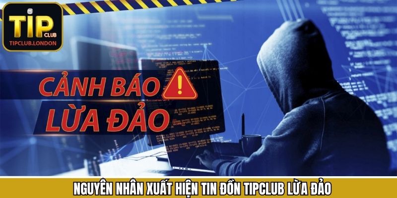 Nguyên nhân dẫn đến tin đồn Tipclub lừa đảo đến từ đâu?
