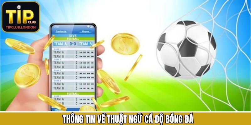 Tổng quát về thuật ngữ cá độ bóng đá