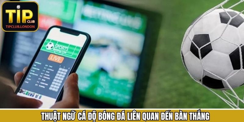 Tổng hợp các thuật ngữ cá độ bóng đá liên quan tới ghi bàn