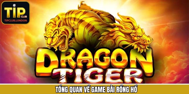 Đôi nét về bộ môn cá cược thú vị tại TipClub